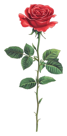 ���ų�����õ��PNG���ͼ