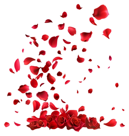 Ʈ���õ�廨��װ��PNG���ͼ