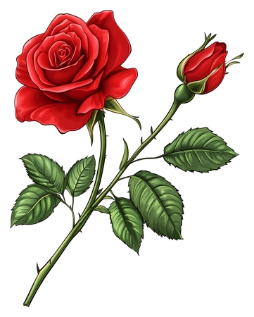 �������ٺ�õ��PNG���ͼ