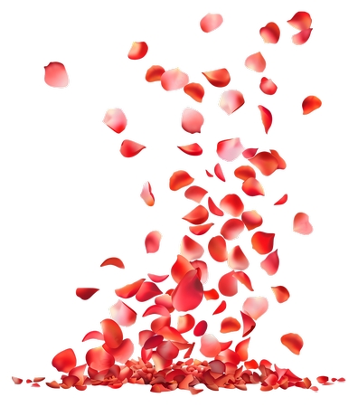 Ʈ���õ�廨��廭PNG���ͼ