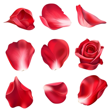 ������õ�廨��廭PNG���ͼ