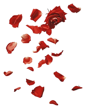 ����Ʈ���õ�廨��PNG���ͼ