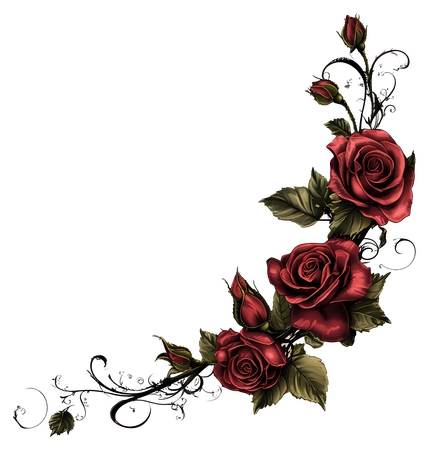 װ���ú�õ��������PNG���ͼ