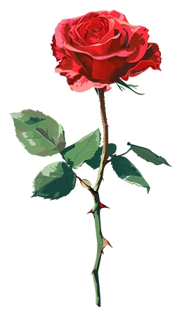 ��֦��õ��廭PNG���ͼ