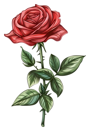 ����������Ҷ��õ��PNG���ͼ