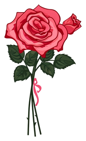 ˿����֦��õ��PNG���ͼ