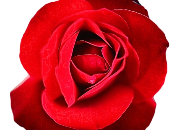 ��õ����дͼ��PNG���ͼ