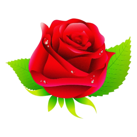 ��Ҷ��õ��廭PNG���ͼ