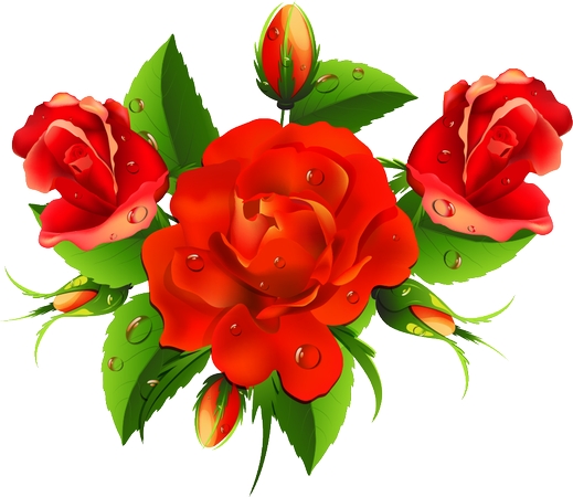 ���ٻ�������¶���õ��PNG���ͼ