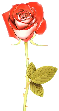 ��Ҷ��õ��廭PNG���ͼ