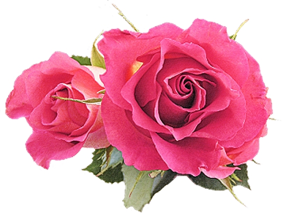 ���޺�õ����дPNG���ͼ