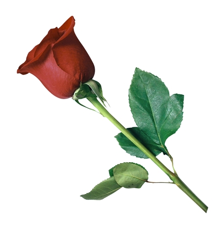 �̾���õ��PNG���ͼ