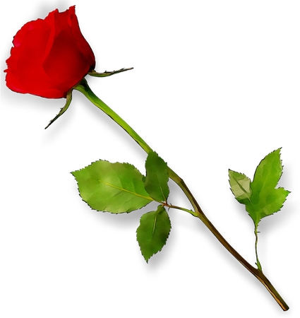 �̾�������õ��PNG���ͼ