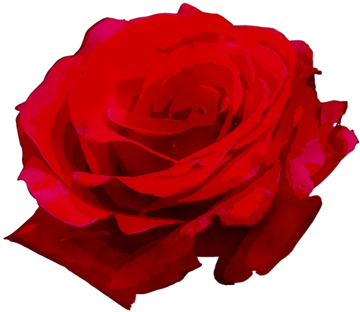 ��д��õ��廭PNG���ͼ