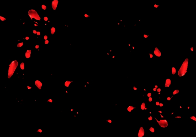 ɢ���õ�廨��PNG���ͼ