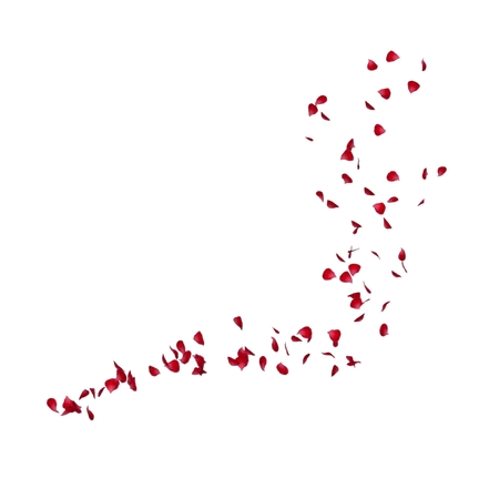 ������ѧƮ���õ�廨��PNG���ͼ