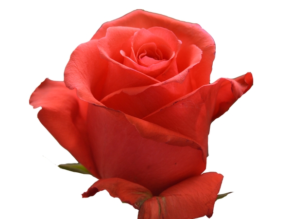 ȫ�����ź�õ��PNG���ͼ