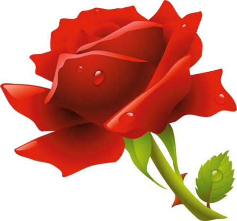 ��������õ��廭PNG���ͼ