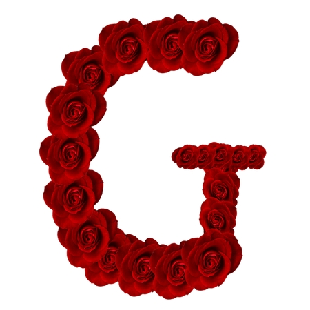 ��õ�廨����ĸGPNG���ͼ