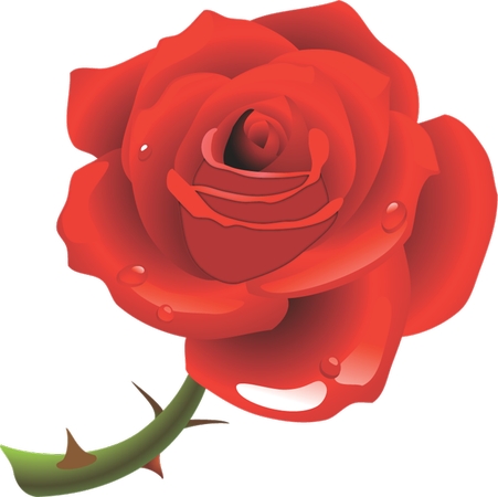 ¶���õ��廭PNG���ͼ