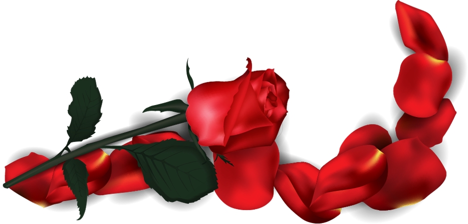 ������ף��õ�廨��PNG���ͼ