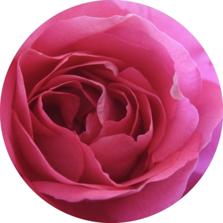 ������д��õ��PNG���ͼ