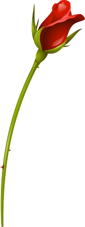 �̾���õ��PNG���ͼ