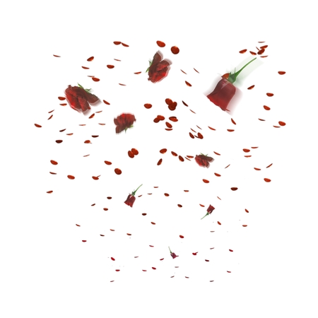 ɢ���õ�廨��������ƷPNG���ͼ