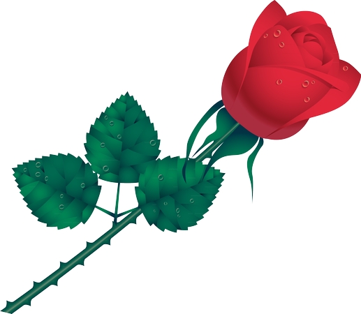 ¶���õ��PNG���ͼ