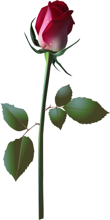 ����ϸ�ڳ�����õ��PNG���ͼ