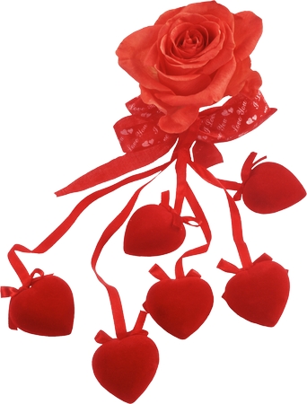 ���˽�����װ�κ�õ��PNG���ͼ