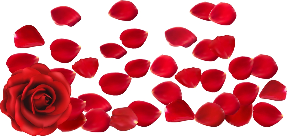 ɢ�仨���õ��PNG���ͼ