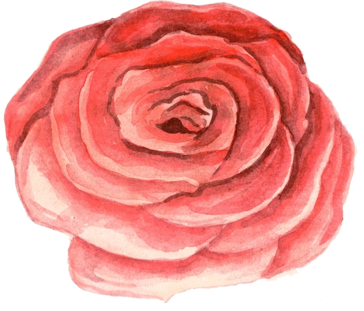 ��õ��ˮ�ʻ�PNG���ͼ