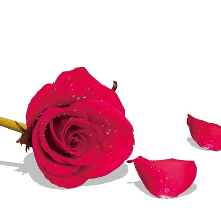 ɢ�仨���õ��PNG���ͼ