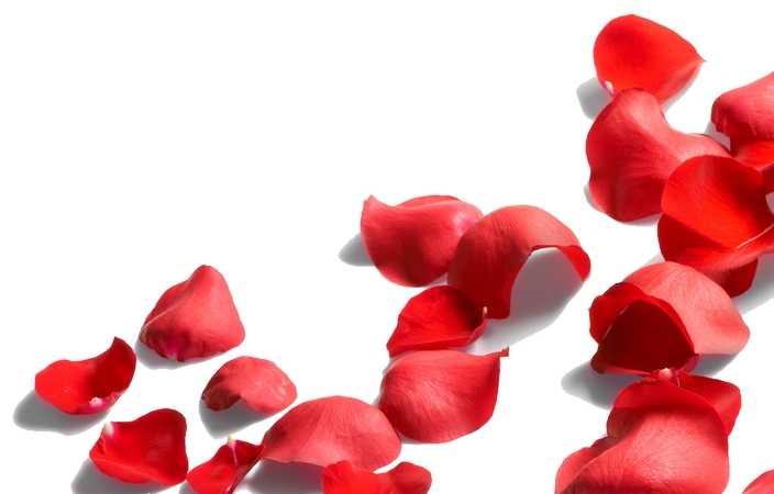 ����ɢ���õ�廨��PNG���ͼ