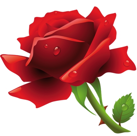 ¶��������õ��PNG���ͼ