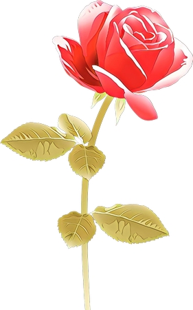 ��Ҷ��õ��PNG���ͼ