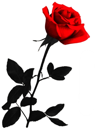 �ھ���õ��廭PNG���ͼ