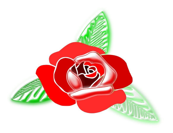 ������Ҷ��ƺ�õ��PNG���ͼ