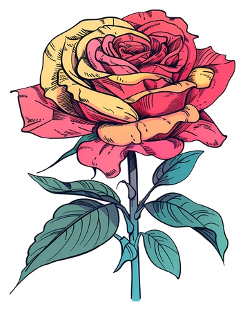 �ƺ�õ������PNG���ͼ