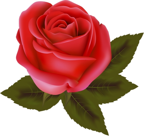 ��Ҷдʵ��õ��PNG���ͼ