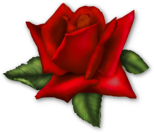 ����Ҷ��õ��PNG���ͼ