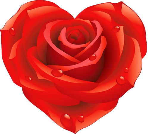 �������κ�õ��PNG���ͼ