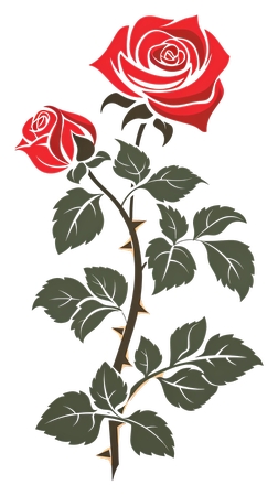 ������Ҷ������õ��PNG���ͼ