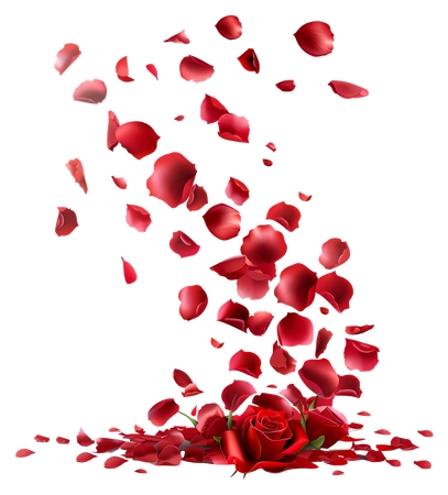 Ʈ�仨���õ��PNG���ͼ