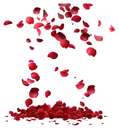 Ʈ�仨�괴������������õ��PNG���ͼ