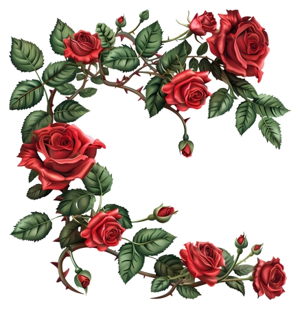 ��õ����仨������PNG���ͼ