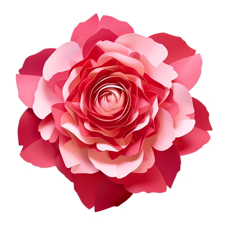 ���˽ڷۺ��õ�����PNG���ͼ