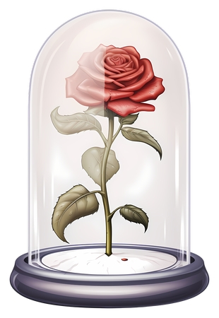 ����񷶥�º�õ��PNG���ͼ