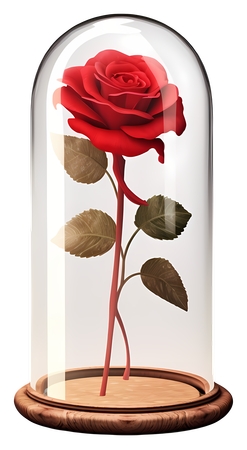 ����񷶥��õ��װ��PNG���ͼ